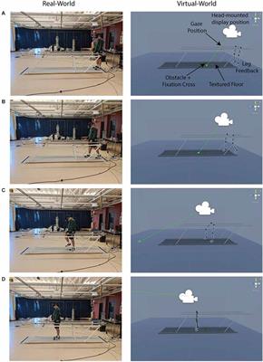 Probing the deployment of peripheral visual attention during obstacle-crossing planning